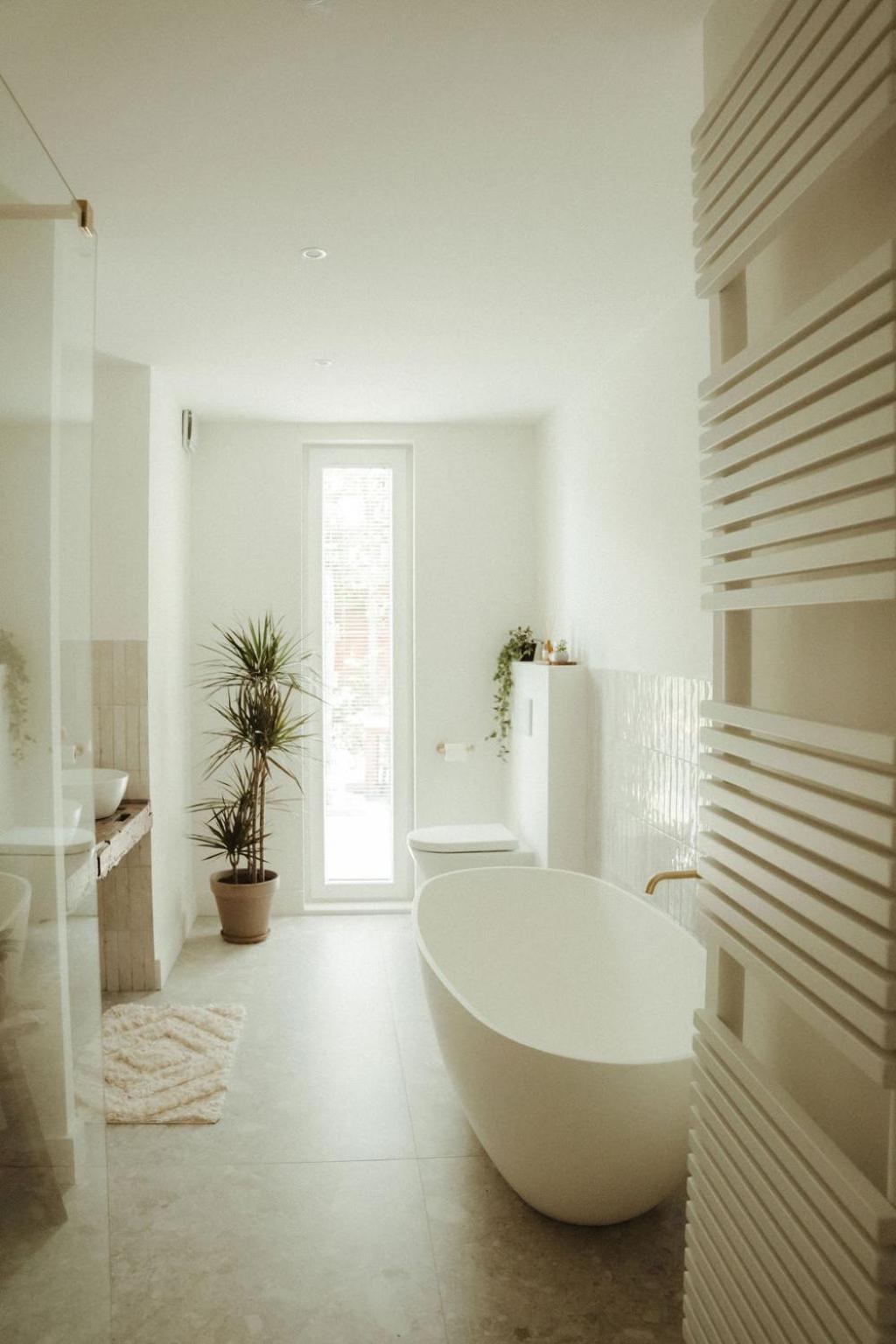 De Wilden Ezel Bed & Breakfast Mol Exterior photo